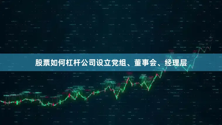 股票如何杠杆公司设立党组、董事会、经理层