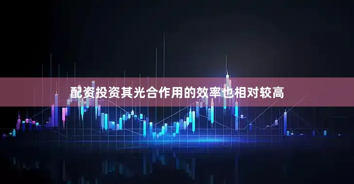 配资投资其光合作用的效率也相对较高